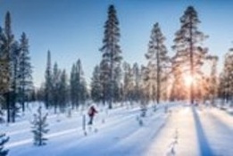Back Country Backlash from Trademark Bullying