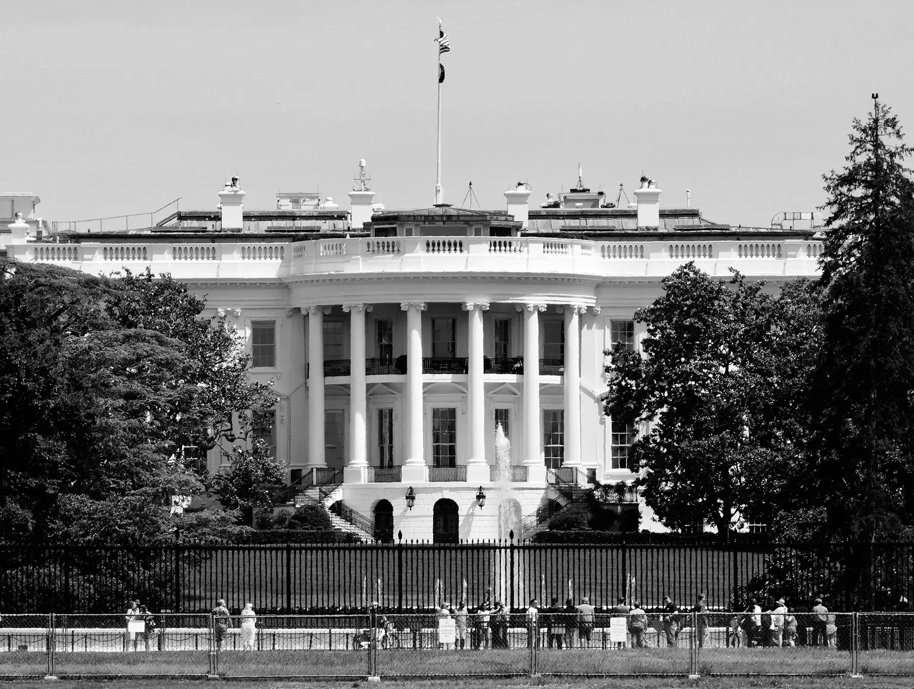 experienced-litigators-federal-government-contractors