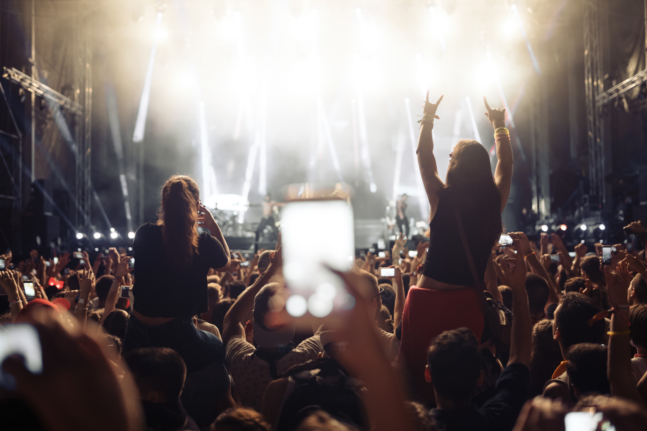 Portrait of happy crowd enjoying at music festival