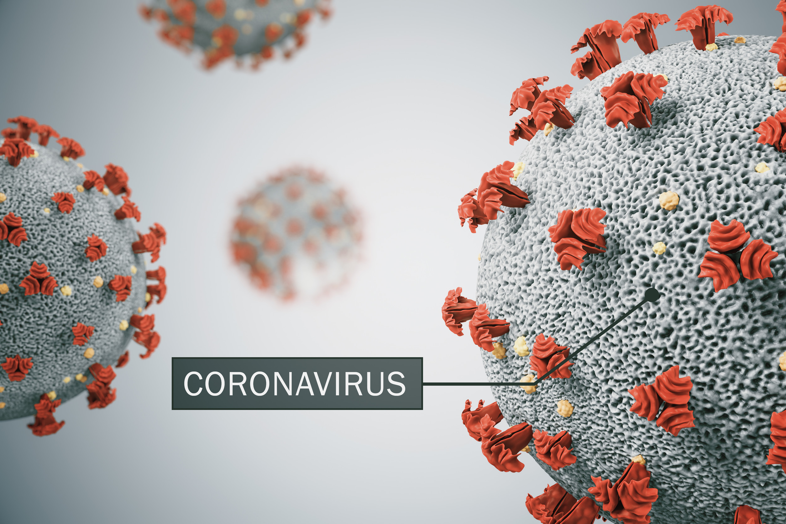 simulated image of a coronavirus