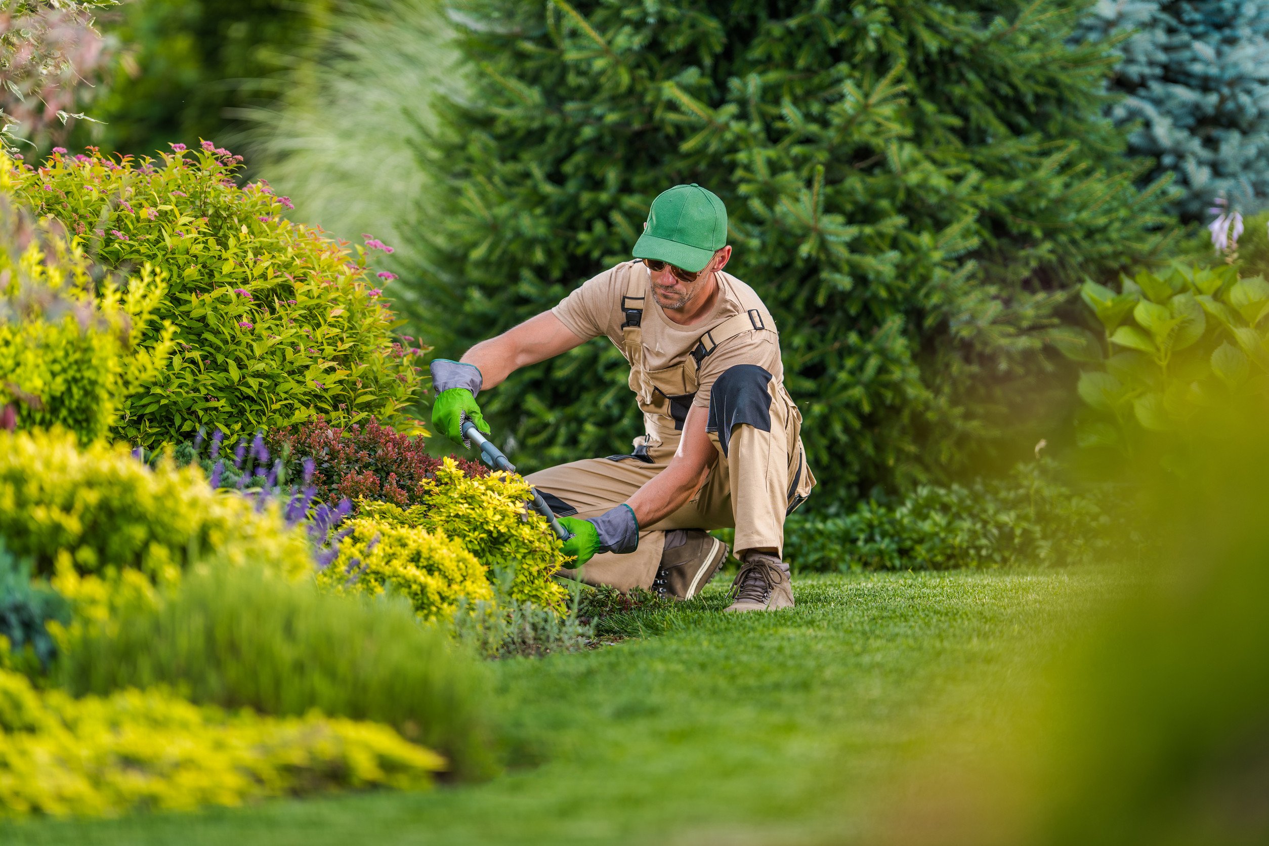 landscaping worker trimming bushes outside