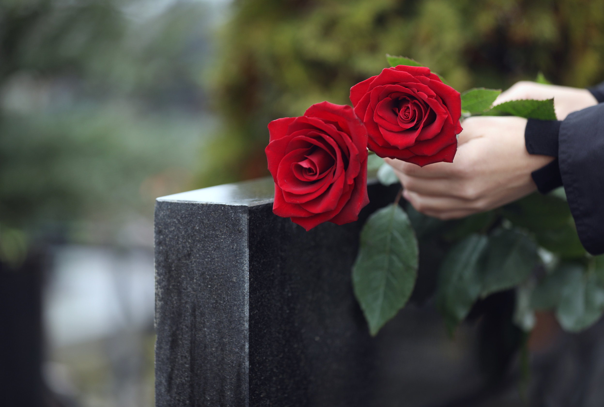 close up of a woman's hands placing red roses on a tombstone