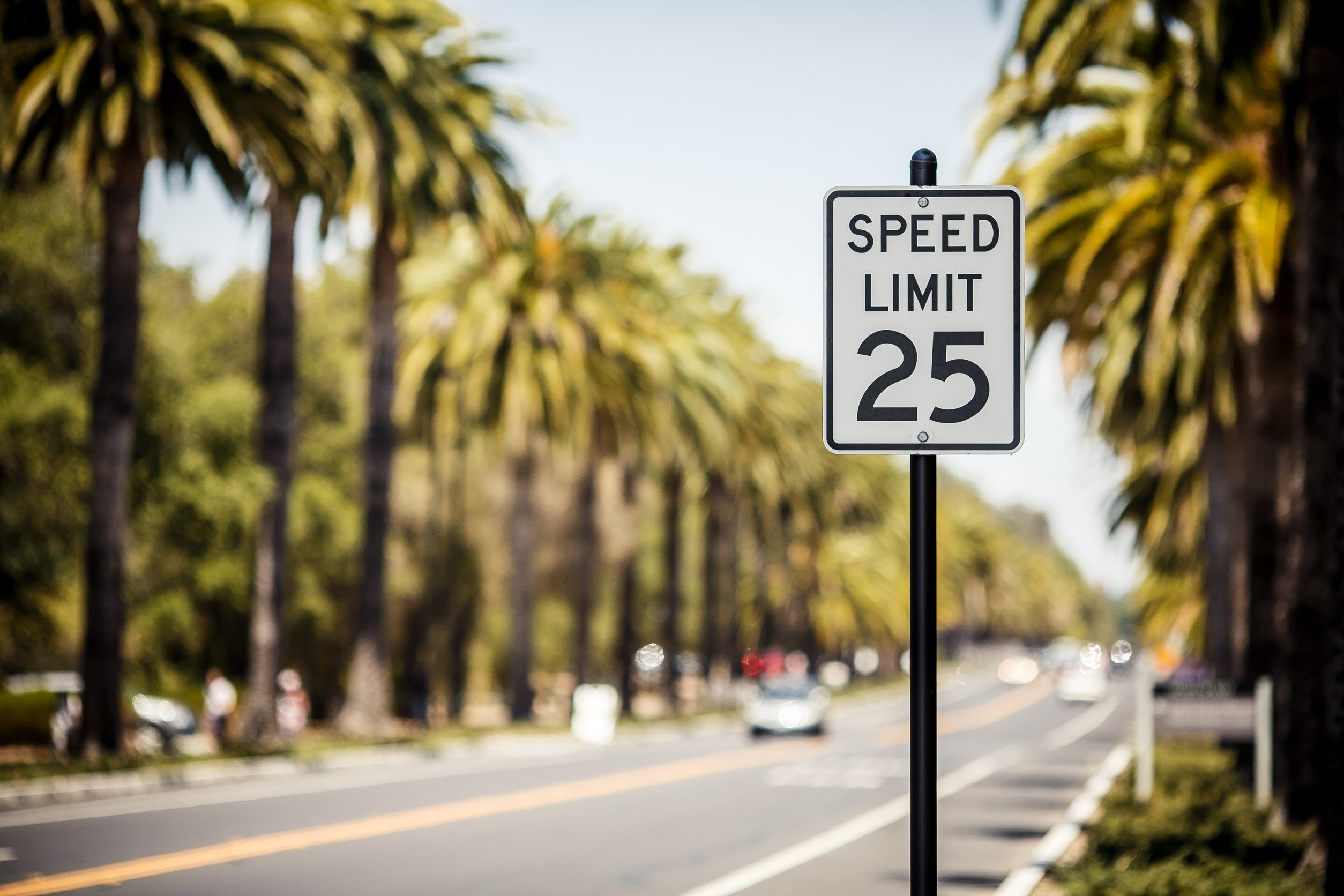 a speed limit sign at the side of a road lined with palm trees