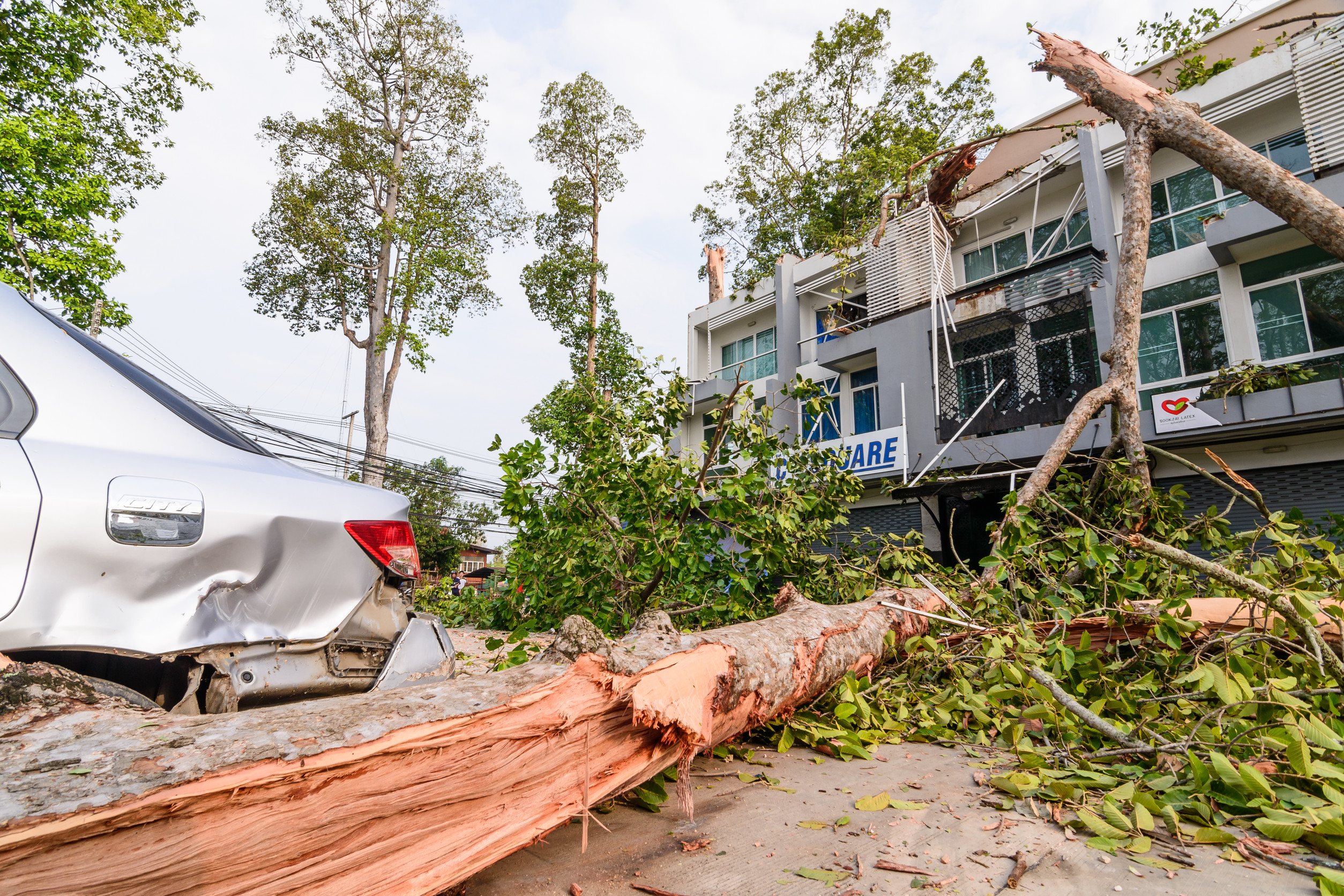 buildings and a car damaged by a natural disaster, trees and broken glass strew about, roof and other structural damange