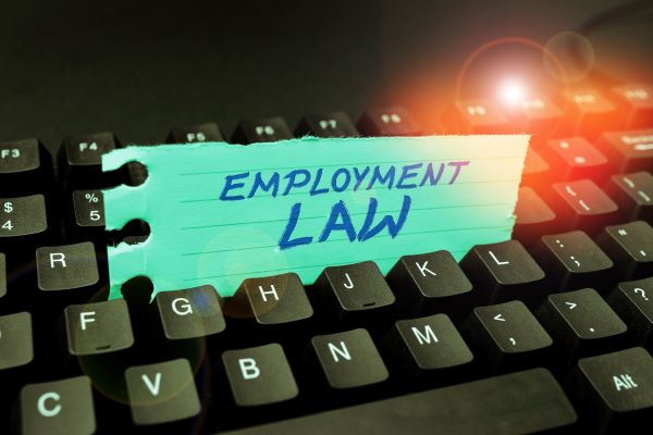 changes to davis bacon act employment law and government contracting