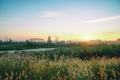 photo of a grassy field at sunrise
