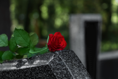 Red rose on gray granite tombstone
