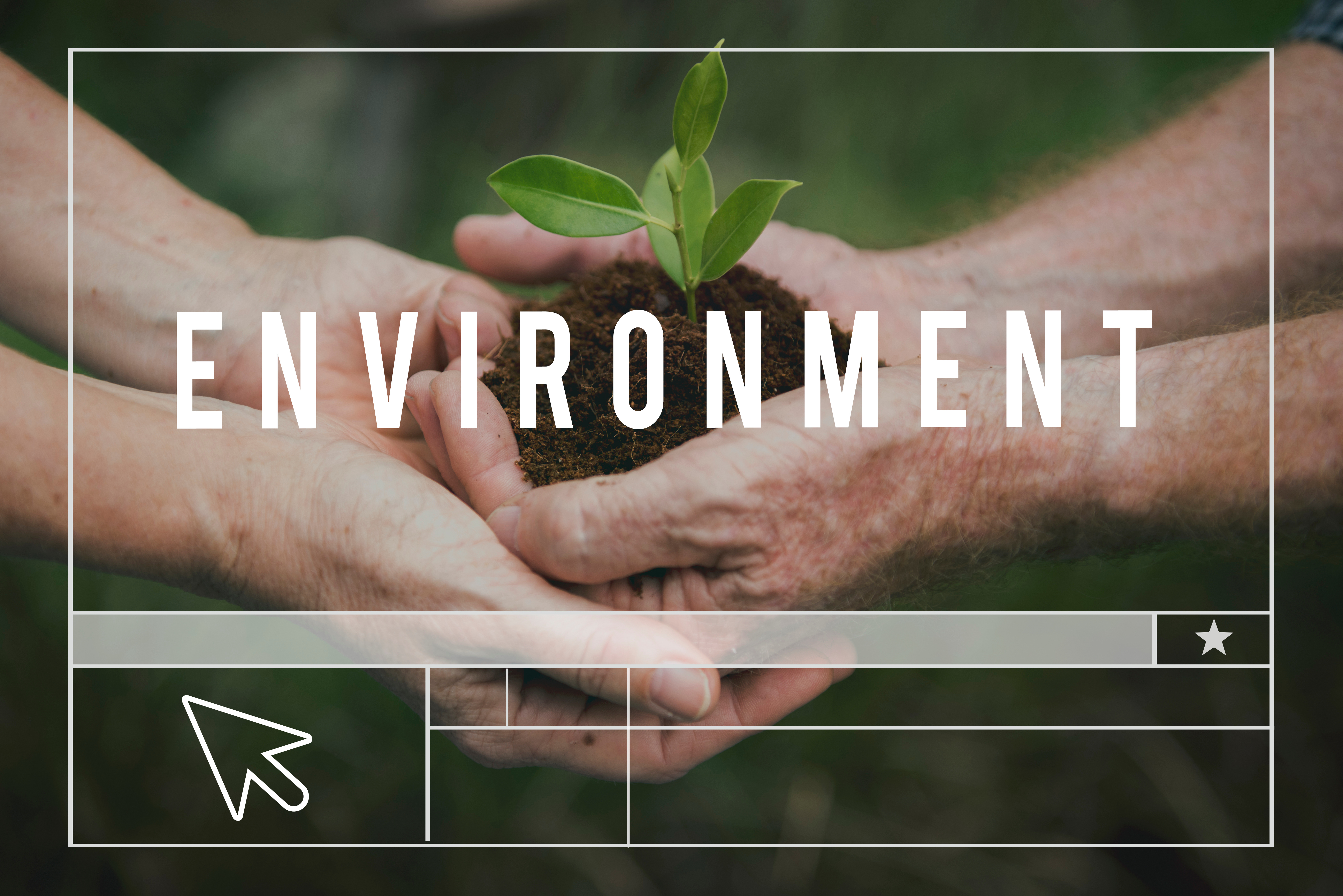 Two hands come together to nurture a small plant