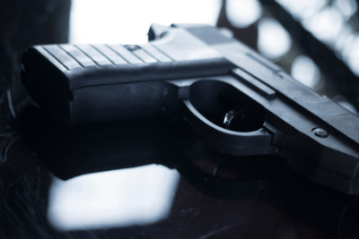 Civil Litigation Attorneys | Challenging Gun Laws | Second Amendment