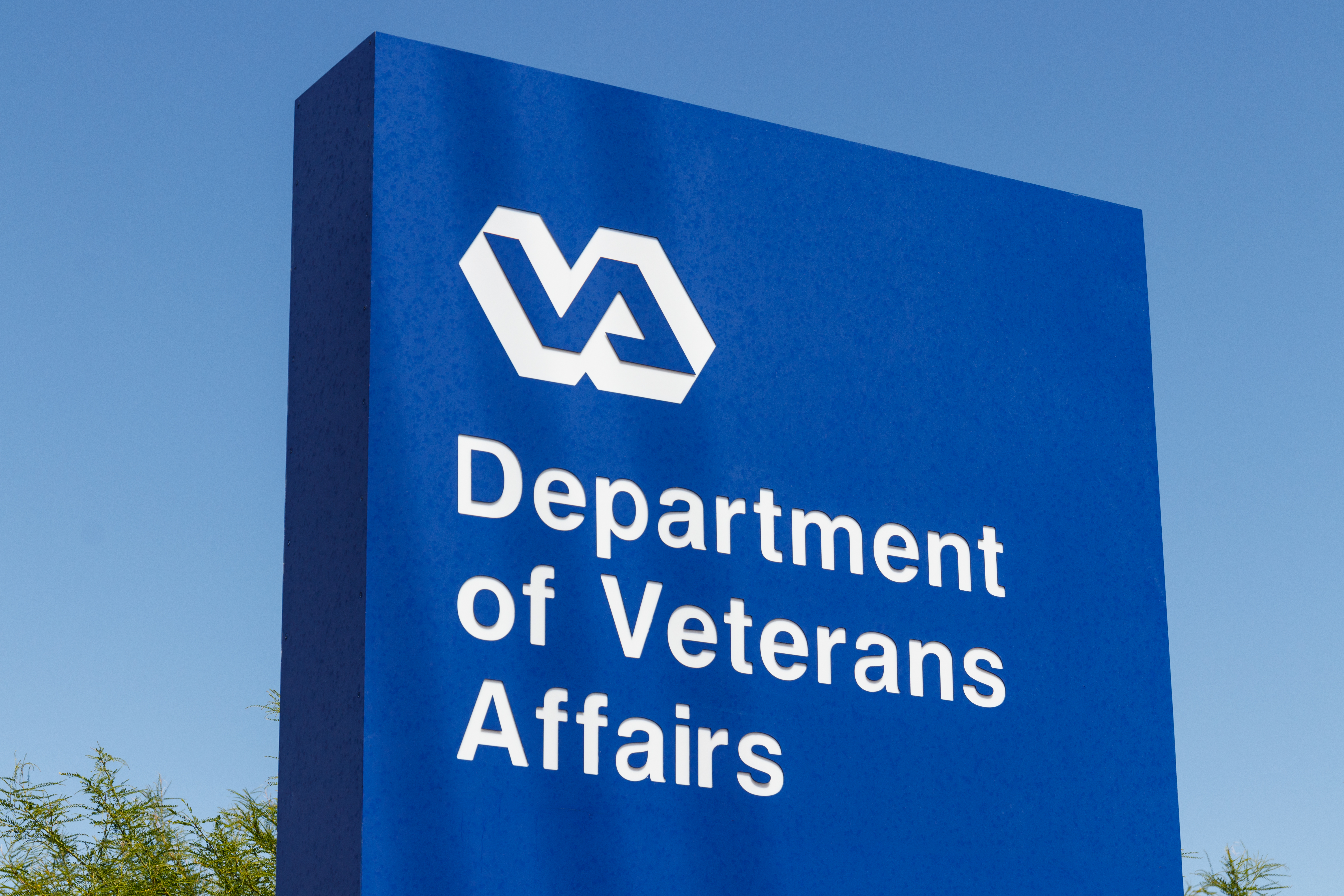 Do I need a VA disability lawyer